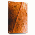 Large abstract wall art depicting fall seasons in orange and brown tones on acrylic glass.