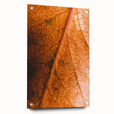 Large abstract wall art depicting fall seasons in orange and brown tones on acrylic glass.
