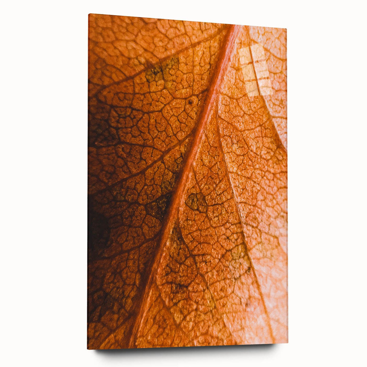 Large abstract wall art depicting autumnal trees in warm orange and red tones on acrylic glass.