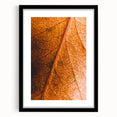 Extra large abstract art print featuring textured fall colors on canvas, framed in black, ideal for living room decor.