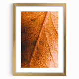 Extra large abstract art print featuring textured autumn leaves in warm gold tones, framed with a gold mat.