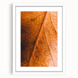 Abstract art print featuring swirling orange and yellow hues on a white framed canvas, suitable for dining room decor.