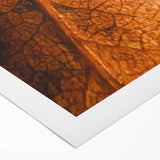 Art deco poster featuring autumnal trees in warm orange tones on rolled canvas, suitable for dining room walls.
