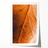 Extra large rolled print featuring a fall-themed floral design in warm autumn colors, ideal for dining room wall art.