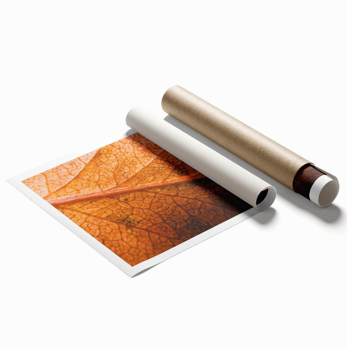 Extra large floral art on rolled print, showcasing muted earth tones and leaf designs, ideal for classy bathroom wall art.