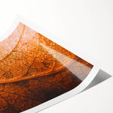 Extra large wall art featuring line art flowers in muted earth tones on a rolled canvas, ideal for large living room decor.