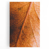 Large black and white abstract depiction of autumn trees on stretched canvas, suitable for kitchen wall art.