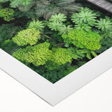 Rolled canvas depicting a vibrant landscape bridge scene, showcasing lush greenery and a serene waterway, elegantly packaged in a protective cardboard tube for easy transport.