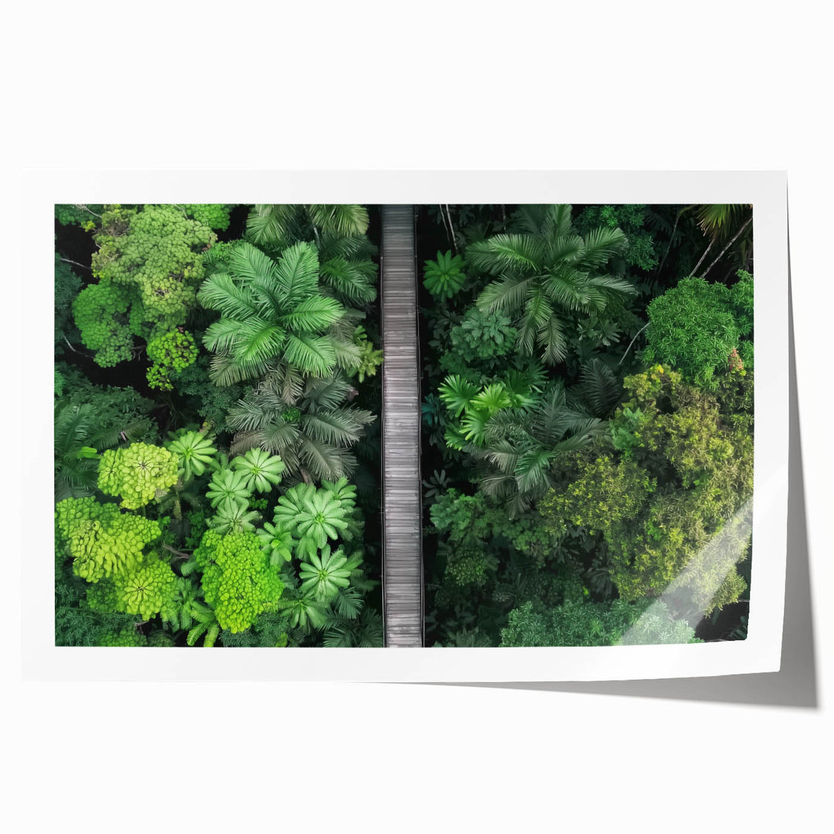 Vibrant landscape bridge print on rolled canvas, showcasing intricate details and rich colors, elegantly packaged in a protective cardboard tube for art enthusiasts.