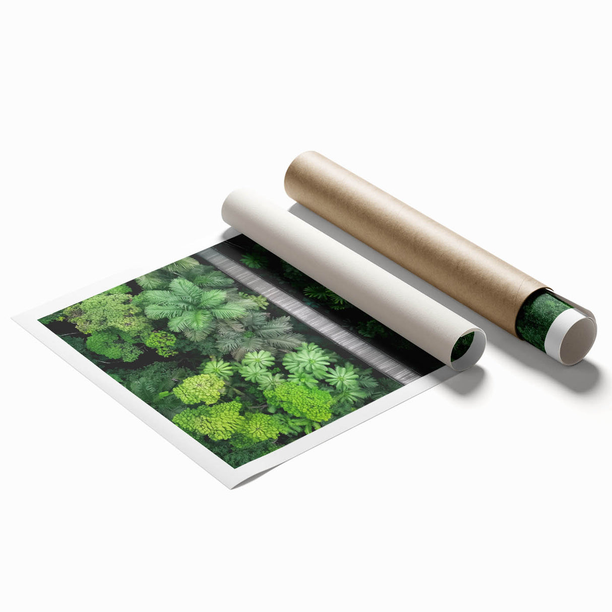 Landscape bridge design rolled print showcasing intricate details and vibrant colors, presented in a durable cardboard tube for secure storage and transport. Ideal for enhancing home decor with artistic flair.