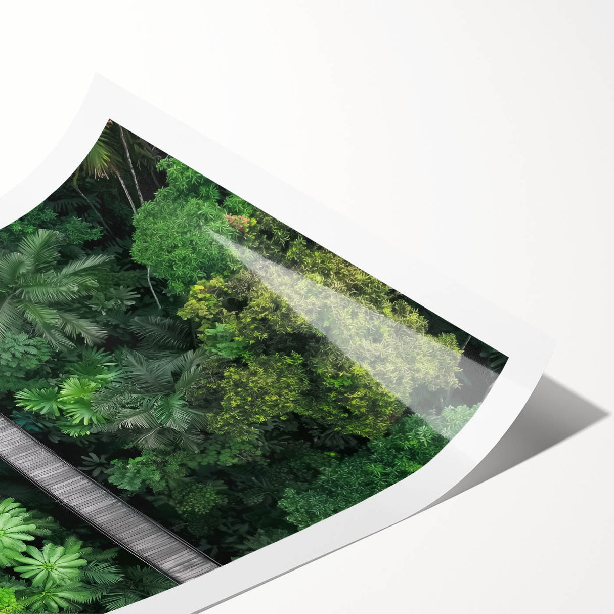 Landscape print showcasing a stunning bridge design, printed on high-quality canvas with vibrant colors, rolled and packaged securely in a protective tube for easy transport. Perfect for home decor enthusiasts seeking unique artwork that emphasizes nature and architecture.