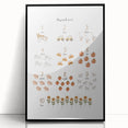 Numbers and Shapes Wall Art - Farm-Themed Counting Poster
