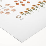 Numbers and Shapes Wall Art - Farm-Themed Counting Poster