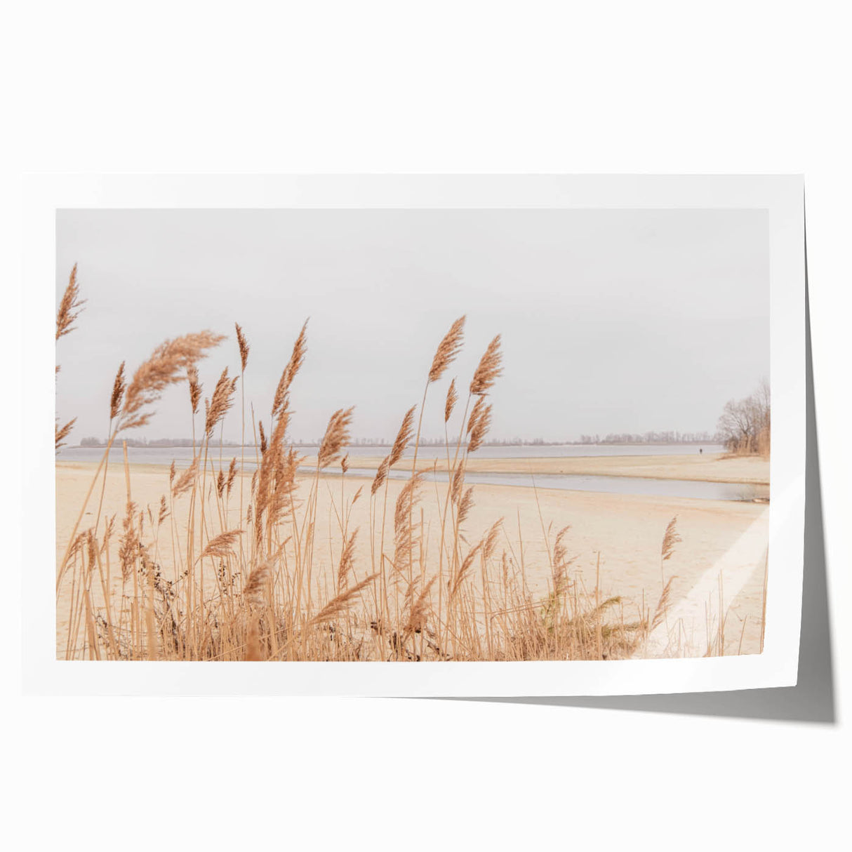 Extra large rolled canvas featuring a floral design with vibrant summer colors, ideal for art wall dining room.