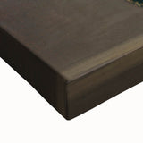 Victor Guye by Goya - Romanticism Art Print on Canvas & Glass