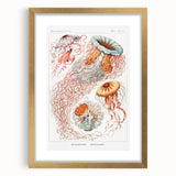 Intricate Jellyfish Modern Wall Art - Abstract Marine Art by Ernst Haeckel