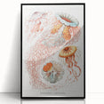 Intricate Jellyfish Modern Wall Art - Abstract Marine Art by Ernst Haeckel