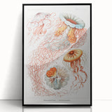 Intricate Jellyfish Modern Wall Art - Abstract Marine Art by Ernst Haeckel