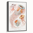 Intricate Jellyfish Modern Wall Art - Abstract Marine Art by Ernst Haeckel
