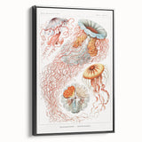 Intricate Jellyfish Modern Wall Art - Abstract Marine Art by Ernst Haeckel