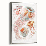 Intricate Jellyfish Modern Wall Art - Abstract Marine Art by Ernst Haeckel