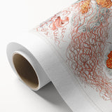 Intricate Jellyfish Modern Wall Art - Abstract Marine Art by Ernst Haeckel