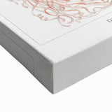 Intricate Jellyfish Modern Wall Art - Abstract Marine Art by Ernst Haeckel