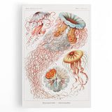 Intricate Jellyfish Modern Wall Art - Abstract Marine Art by Ernst Haeckel