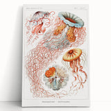 Intricate Jellyfish Modern Wall Art - Abstract Marine Art by Ernst Haeckel