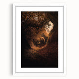 Abstract art print depicting autumn trees in orange and red tones on a white framed canvas, ideal for dining room decor.