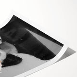 Abstract figurative rolled print showcasing vibrant colors and dynamic shapes, ideal for modern home decor, securely packaged in a protective cardboard tube.