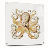 Vintage Octopus Illustration - Modern Wall Art with Marine Life Charm