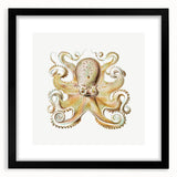 Vintage Octopus Illustration - Modern Wall Art with Marine Life Charm