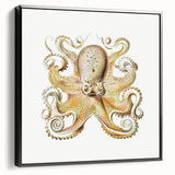 Vintage Octopus Illustration - Modern Wall Art with Marine Life Charm