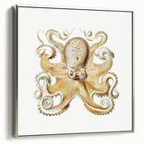 Vintage Octopus Illustration - Modern Wall Art with Marine Life Charm