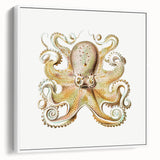 Vintage Octopus Illustration - Modern Wall Art with Marine Life Charm