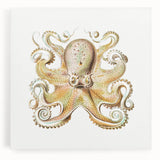 Vintage Octopus Illustration - Modern Wall Art with Marine Life Charm