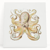 Vintage Octopus Illustration - Modern Wall Art with Marine Life Charm
