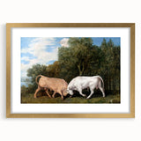 Bulls Fighting by George Stubbs - Romanticism Art Print on Canvas