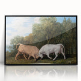 Bulls Fighting by George Stubbs - Romanticism Art Print on Canvas