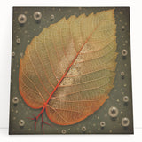 Colorful wall art canvas featuring a floral and botanical design, showcasing vibrant flowers and green leaves, ideal for home decor or office settings.