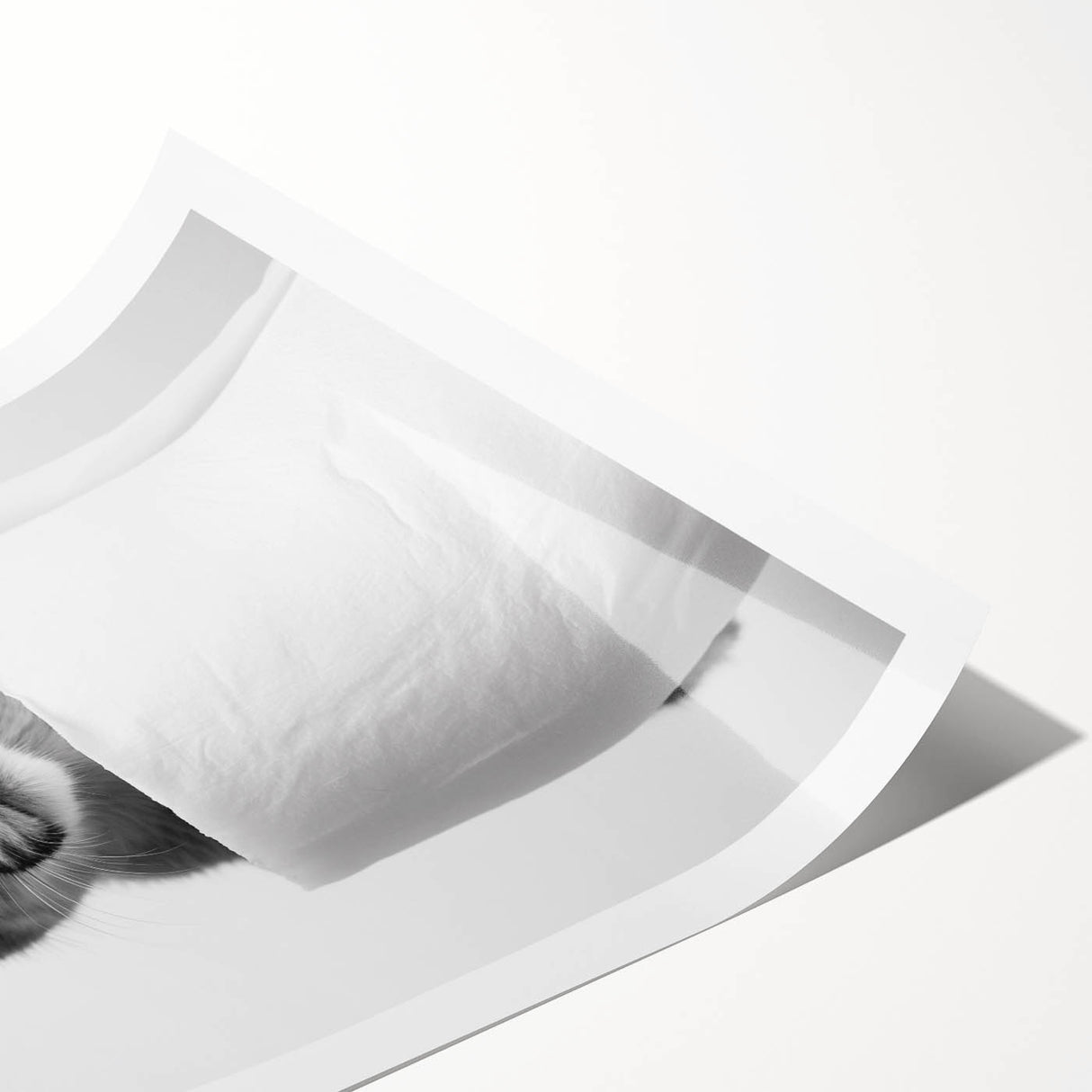 Adorable Cub Bathroom Wall Art - Modern Black and White Decor