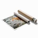 Extra large rolled print depicting vibrant floral scenery in Ethiopian landscape, ideal for classy bathroom wall art.