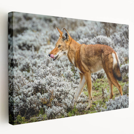 Ethiopian landscape on large stretched canvas featuring earthy tones, ideal for kitchen wall art.