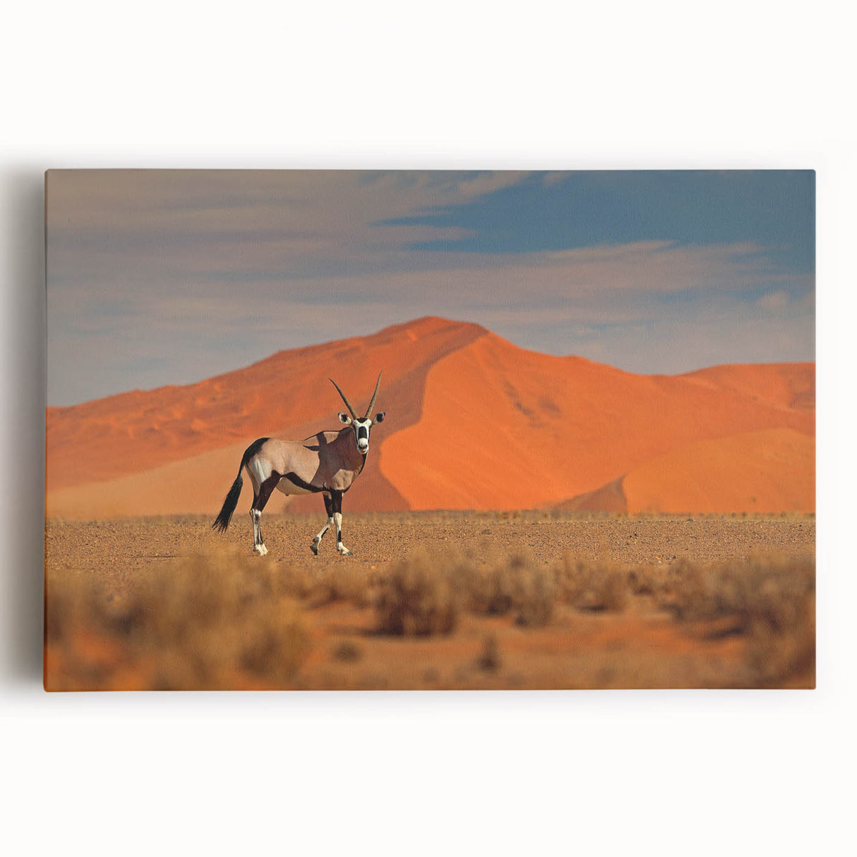 Black and white photograph of an expansive Namibian landscape on stretched canvas, ideal for kitchen wall art.