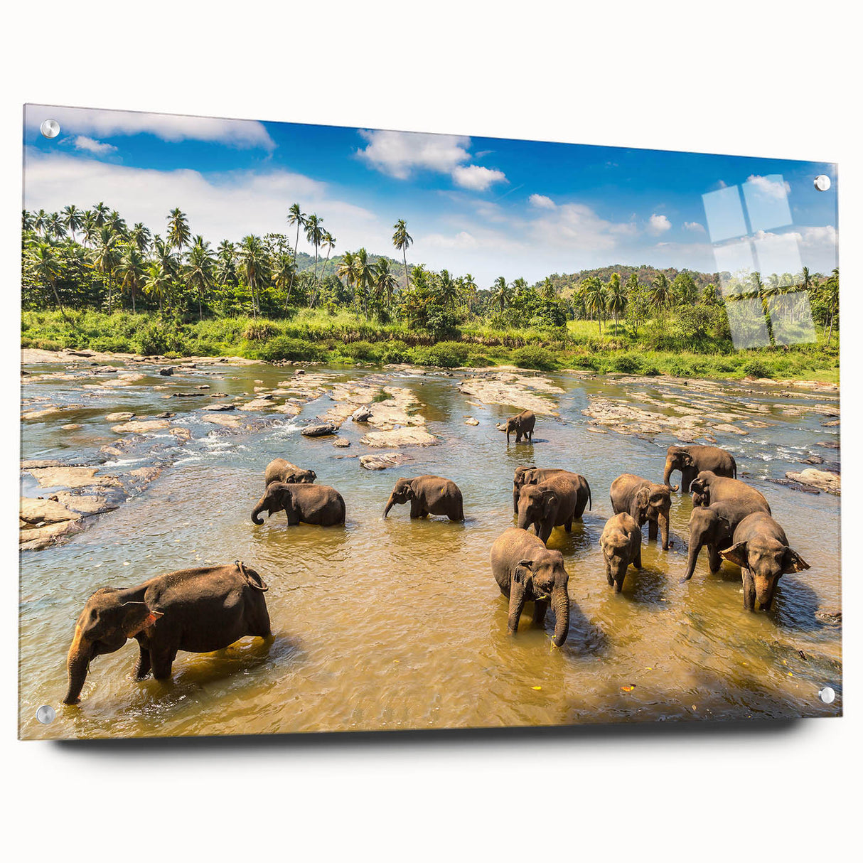 Large abstract wall art depicting a vibrant Sri Lankan landscape on acrylic glass, suitable for bedroom or dining room decor.