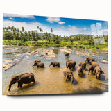 Large abstract wall art featuring a serene Sri Lankan landscape in muted green and blue tones on acrylic glass.