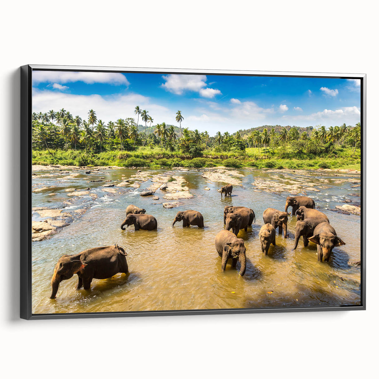Black and white wall art of a Sri Lankan landscape on framed canvas, suitable for bedroom decor.