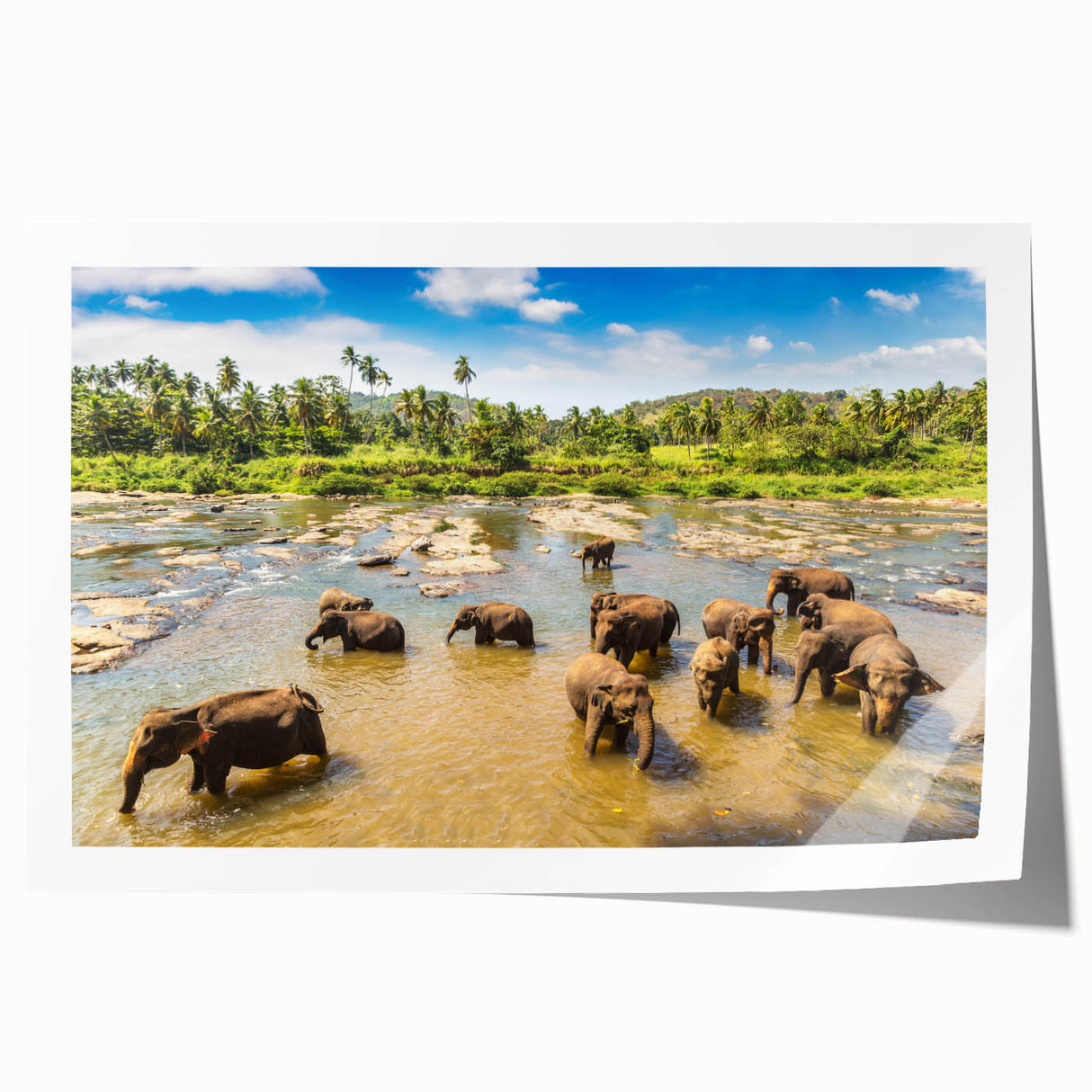 Extra large rolled print of a Sri Lankan landscape, featuring lush greenery and vibrant floral elements.