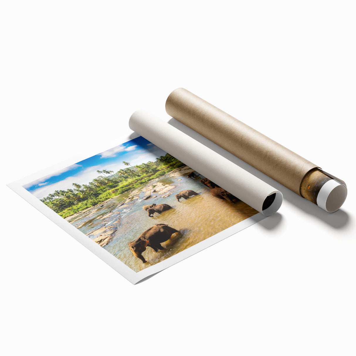 Extra large rolled print of a Sri Lankan landscape with vibrant greenery and floral elements.